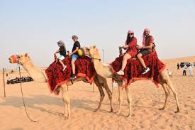 Is There a Camel Ride Included in Luxury Desert Safaris